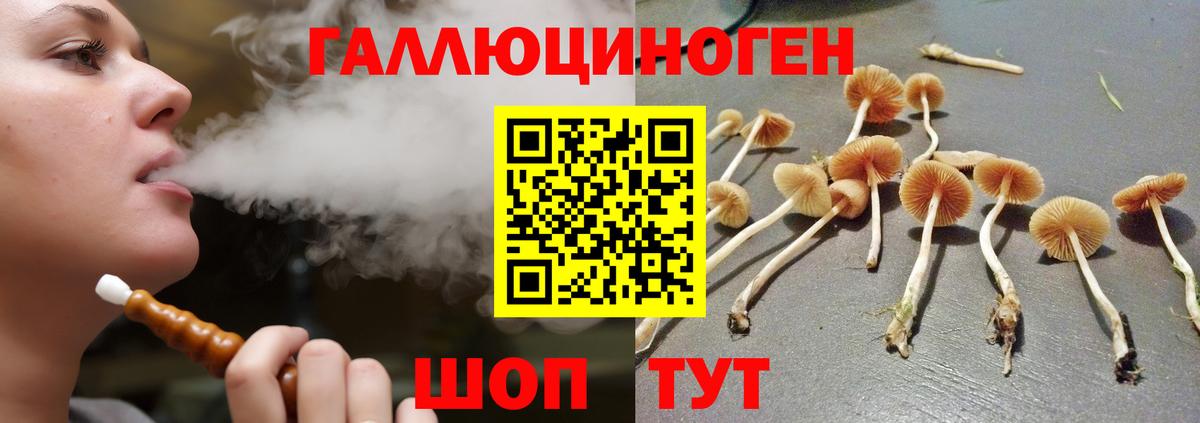 Галлюциногенные грибы Magic Shrooms Джанкой